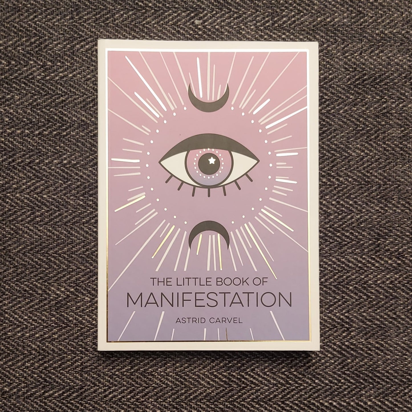 Little Book of Manifestion