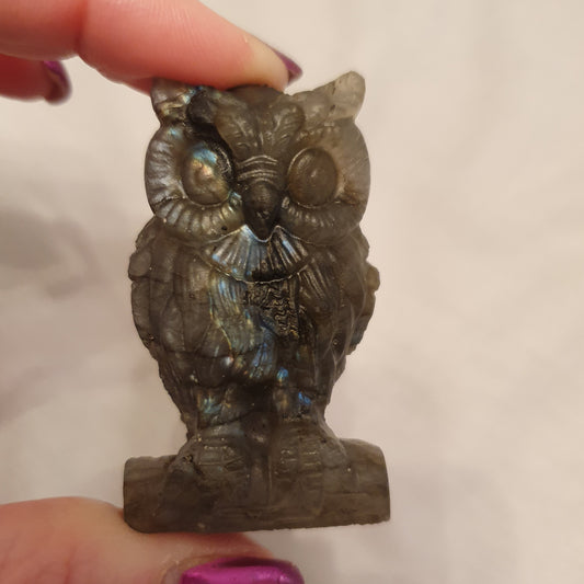 Labradorite Owl