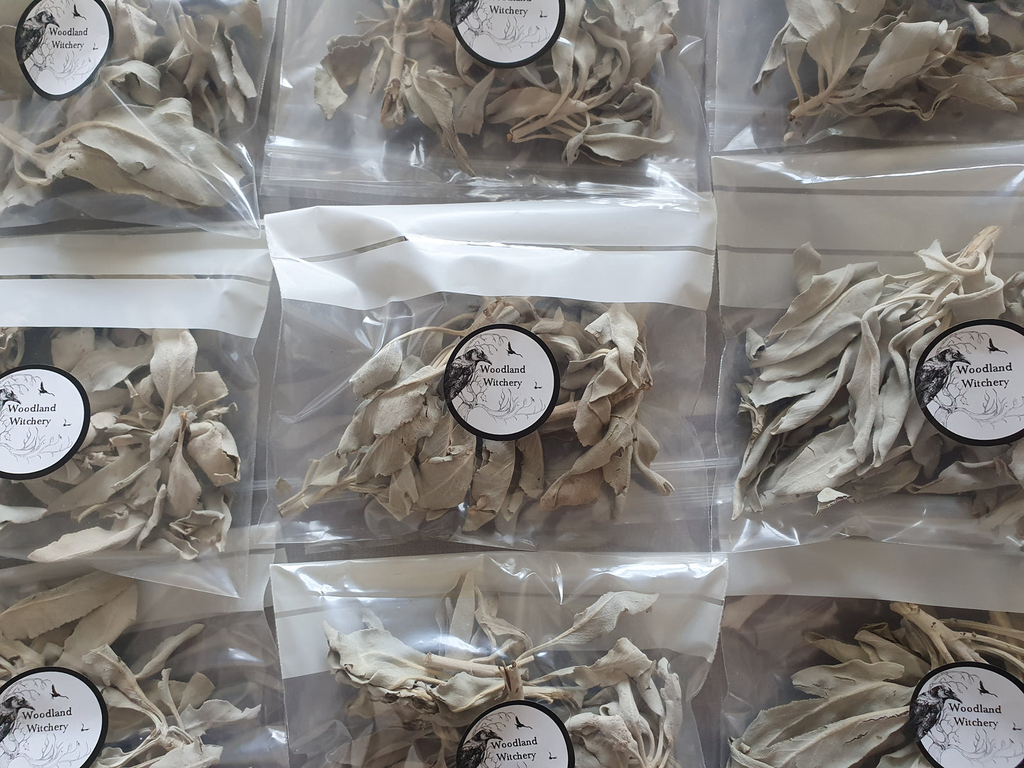 White Sage